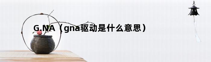 G.NA（gna驱动是什么意思）