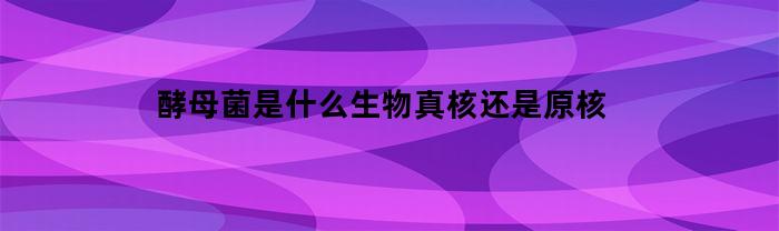 酵母菌是什么生物真核还是原核