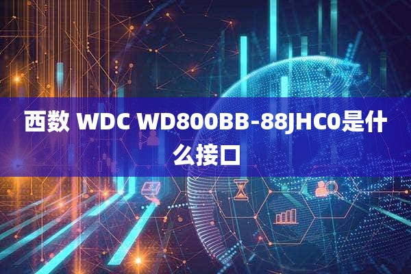 西数 WDC WD800BB-88JHC0是什么接口