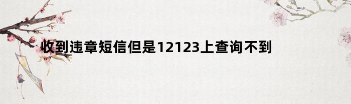收到违章短信但是12123上查询不到信息