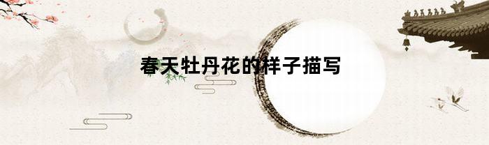 春天牡丹花的样子描写