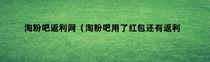 淘粉吧返利网(淘粉吧用了红包还有返利吗)
