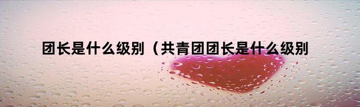 团长是什么级别(共青团团长是什么级别)