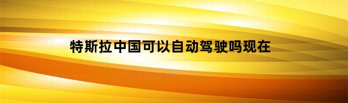 特斯拉中国可以自动驾驶吗现在