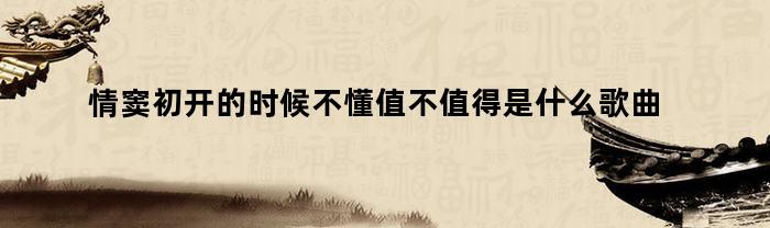 情窦初开的时候不懂值不值得是什么歌曲