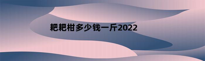 耙耙柑多少钱一斤2022