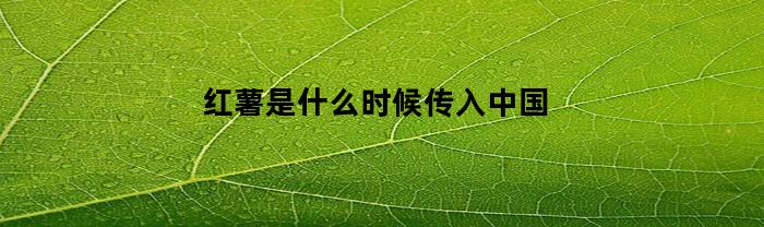 红薯是什么时候传入中国