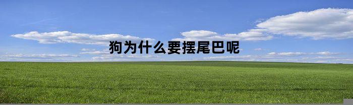 狗为什么要摆尾巴呢