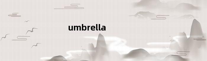 umbrella-4.1.6打不开为什么（今日umbrella-4.1.6打不开为什么）