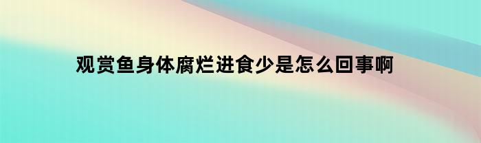 观赏鱼身体腐烂进食少是怎么回事啊