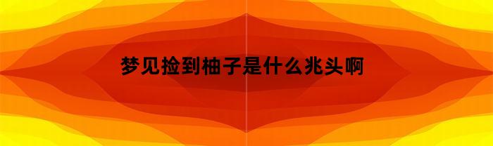 梦见捡到柚子是什么兆头啊