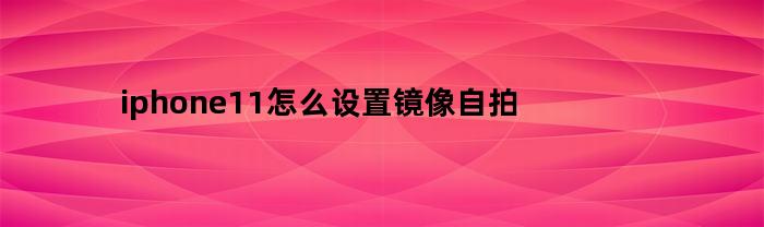 如何在iPhone 11上设置自拍镜像效果