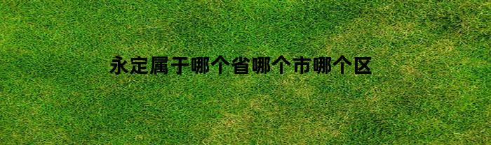 永定属于福建省龙岩市永定区