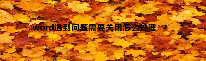 word遇到问题需要关闭怎么处理
