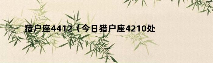 我是一棵秋天的树歌词啥意思