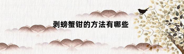 剥螃蟹钳的方法有哪些