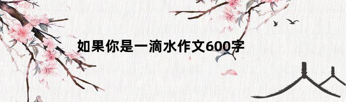 如果你是一滴水作文600字
