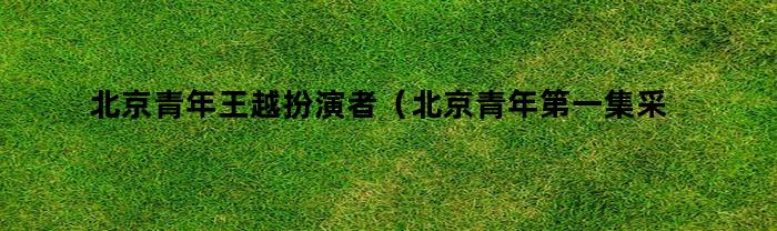 北京青年王越扮演者（北京青年第一集采访王越）