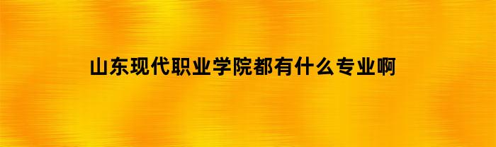 山东现代职业学院都有什么专业啊