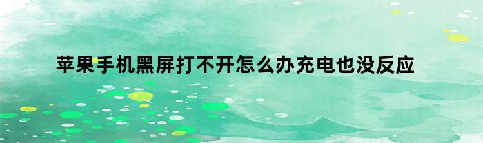 苹果手机黑屏打不开怎么办充电也没反应