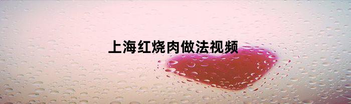 上海红烧肉做法视频