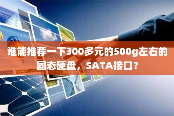 谁能推荐一下300多元的500g左右的固态硬盘，SATA接口？