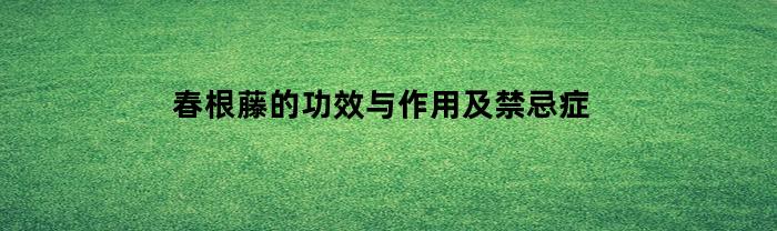 春根藤的功效与作用及禁忌症