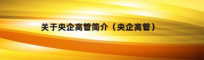 央企高管个人简介：解析央企领导者的背景和成就