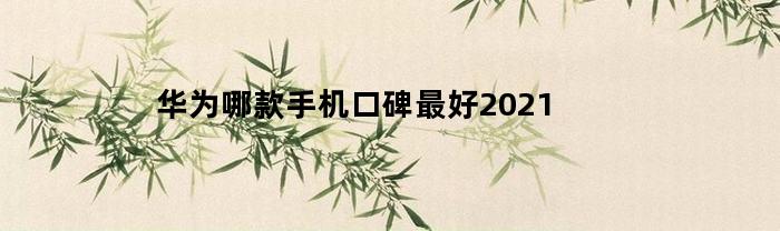 2021年，哪款华为手机口碑最优？