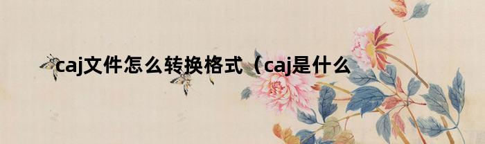 caj文件怎么转换格式（caj是什么格式的文件）