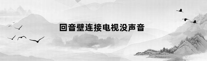 回音壁连接电视没声音