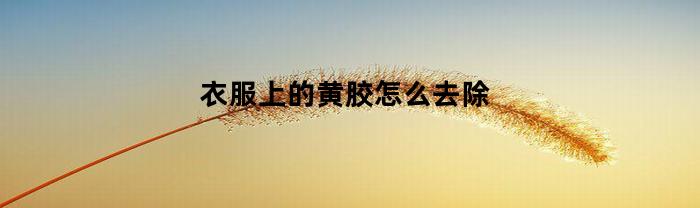 衣服上的黄胶怎么去除