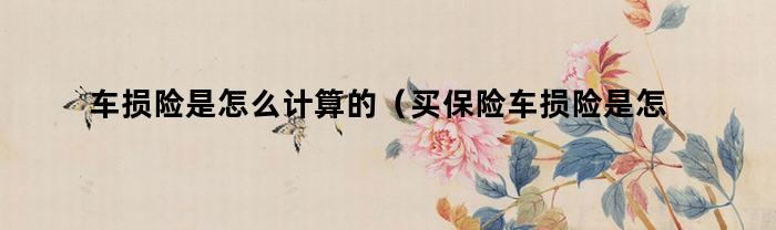 车损险是怎么计算的(买保险车损险是怎么计算的)