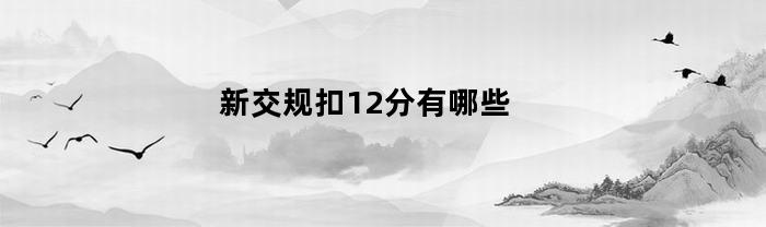 新交规扣12分有哪些