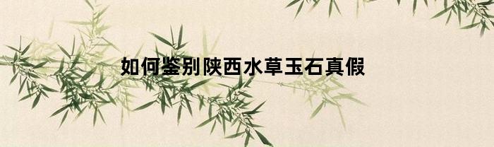 如何鉴别陕西水草玉石真假