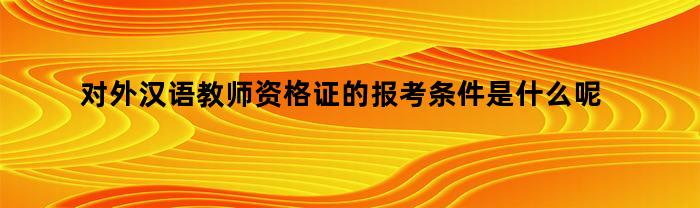 对外汉语教师资格证的报考条件是什么呢（对外汉语教师资格证有哪些）