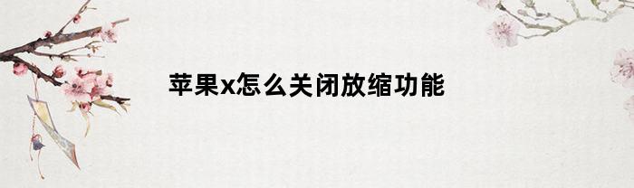 苹果x怎么关闭放缩功能