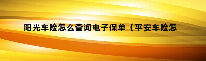 阳光车险怎么查询电子保单（平安车险怎么查询电子保单）