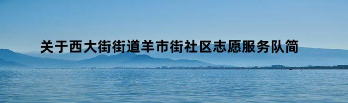 关于西大街街道羊市街社区志愿服务队简述（西大街街道羊市街社区志愿服务队）