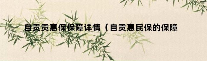 自贡贡惠民保保障详情（自贡惠民保的保障内容）