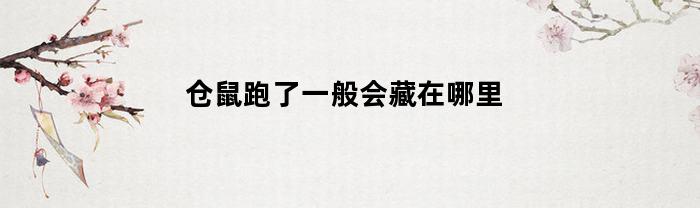 仓鼠跑了一般会藏在哪里