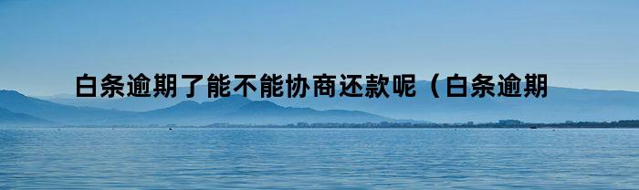 白条逾期了能不能协商还款呢（白条逾期能协商还本金吗）