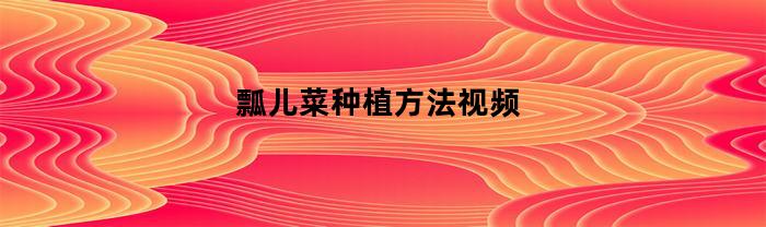 瓢儿菜种植方法视频