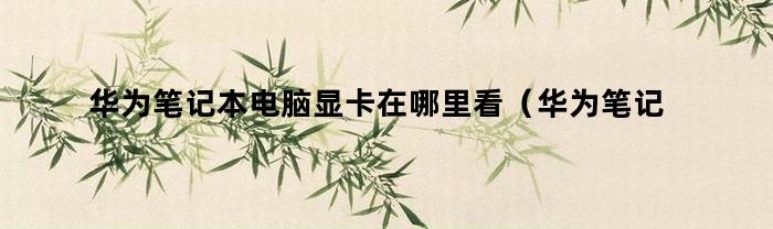 华为笔记本电脑显卡在哪里看（华为笔记本怎么看显卡型号）