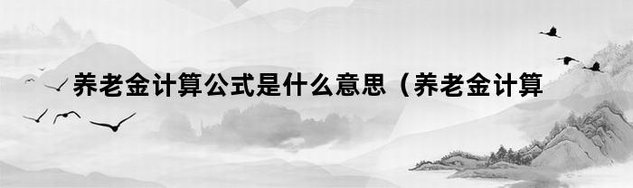 养老金计算公式是什么意思（养老金计算公式是什么）