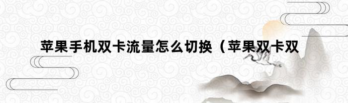 苹果手机双卡流量怎么切换（苹果双卡双待手机流量怎么切换）