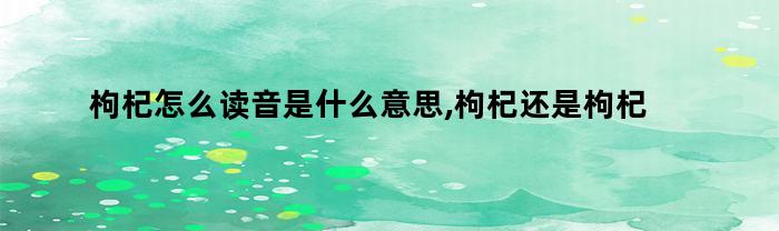 枸杞怎么读音是什么意思,枸杞还是枸杞怎么读（枸杞子怎么读音是什么意思）