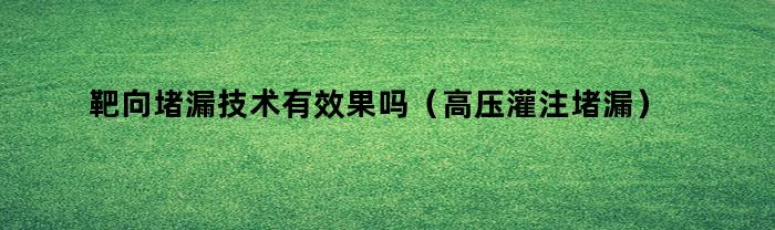 靶向堵漏技术有效果吗（高压灌注堵漏）