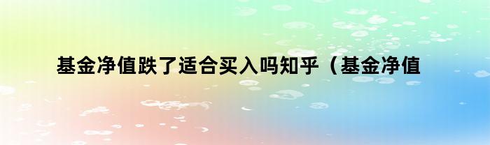 基金净值跌了适合买入吗知乎（基金净值跌了适合买入吗）