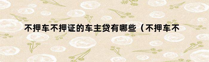 不押车不押证的车主贷有哪些（不押车不押证的车主贷款）